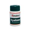Cystone 100 tabletten